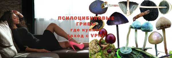 винт Наволоки