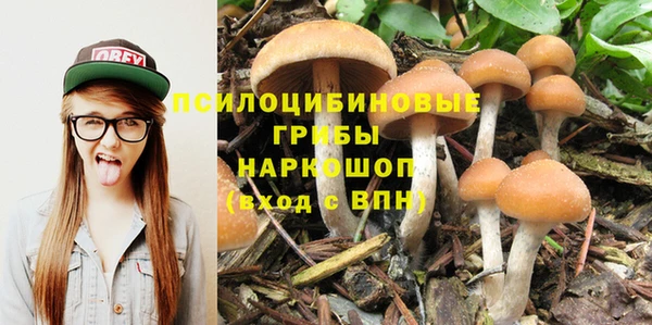 спиды Навашино