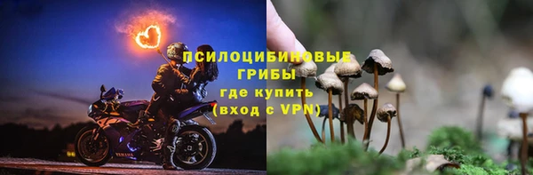 дурь Михайлов