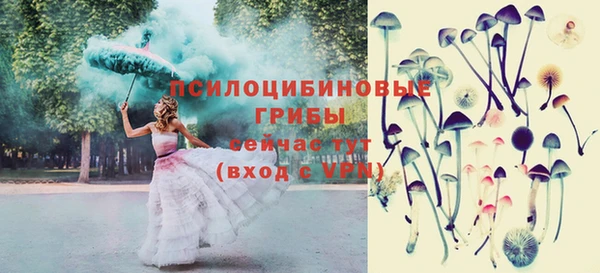 винт Наволоки