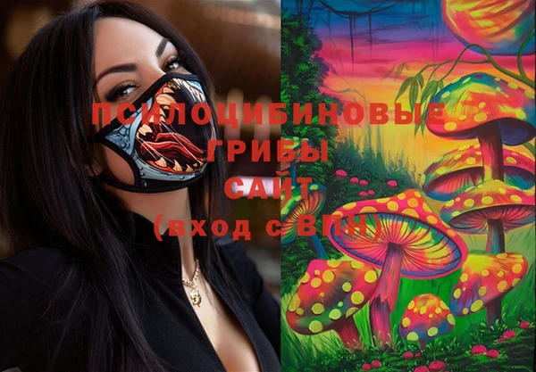 дурь Михайлов